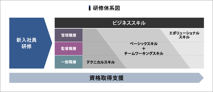 研修体系図