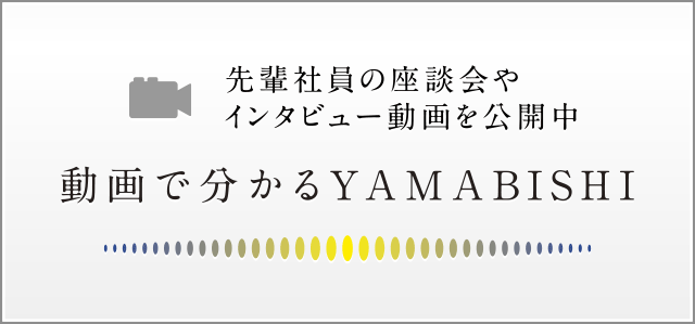 動画で分かるYAMABISHI