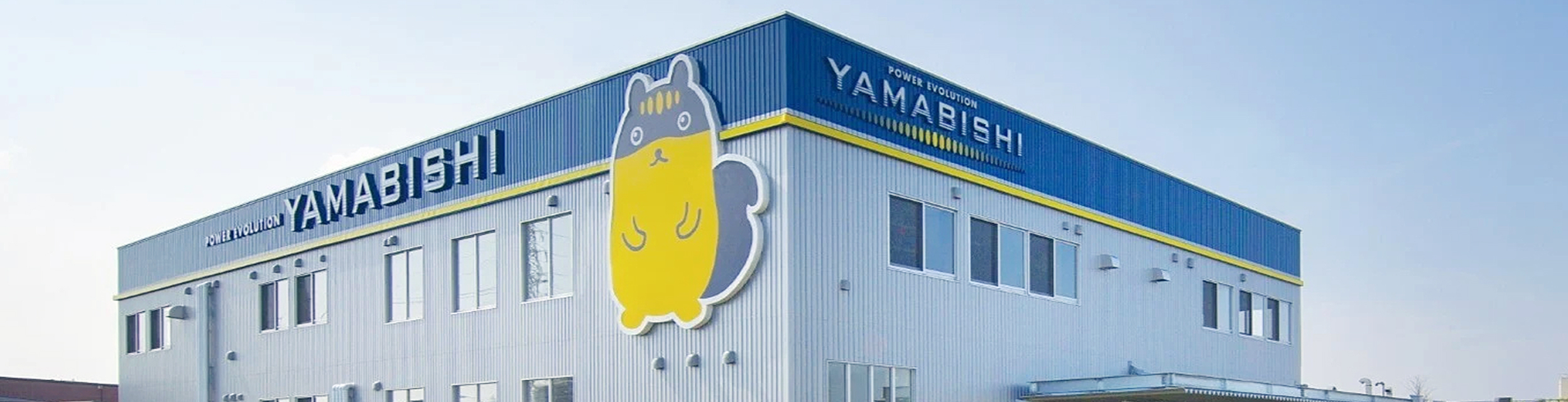 新卒採用フロー